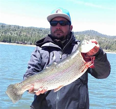 Big Bear Lake Fish Report - Big Bear Lake, CA (San Bernardino County)