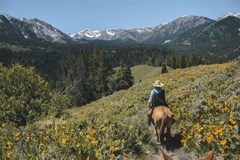 The Best Spots for Horseback Riding in Big Sky | Wilson Hotel