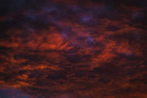 Wonderful pink clouds in sky at sunset · Free Stock Photo