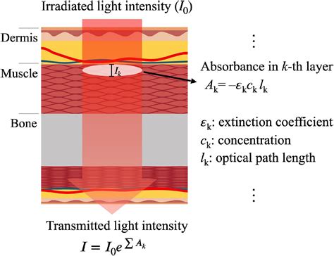 Frontiers | Photoplethysmogram Analysis and Applications: An Integrative Review