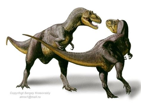 Alectrosaurus Pictures & Facts - The Dinosaur Database