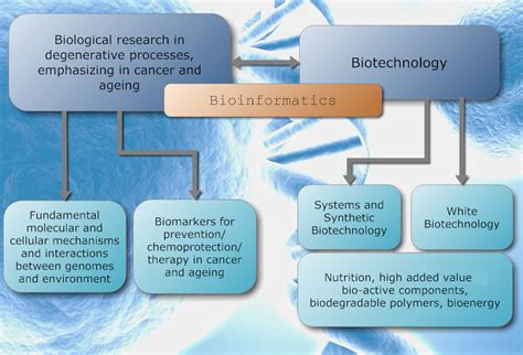 Institute of Biology, Medicinal Chemistry and Biotechnology / Division of Biological Research ...