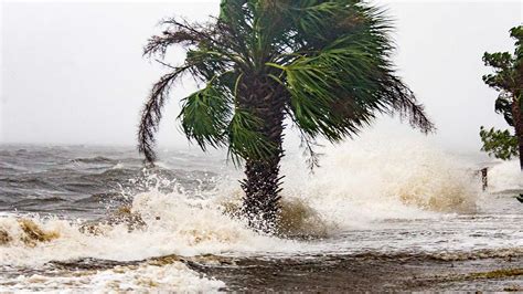 Hurricane Michael damage: PHOTOS - ABC7 Los Angeles