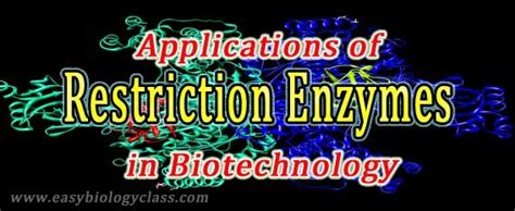 Applications of Restriction Endonuclease | easybiologyclass