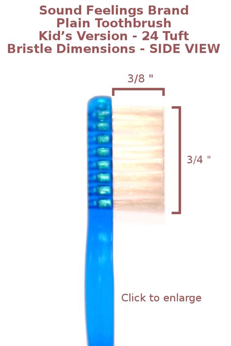 Comparison of Multilevel and Plain Toothbrushes