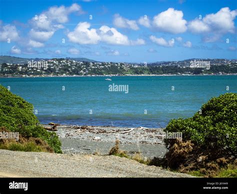 Wellington harbour hi-res stock photography and images - Alamy