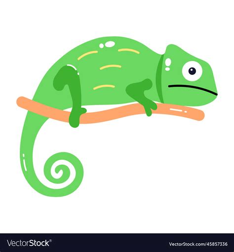 Chameleon Royalty Free Vector Image - VectorStock