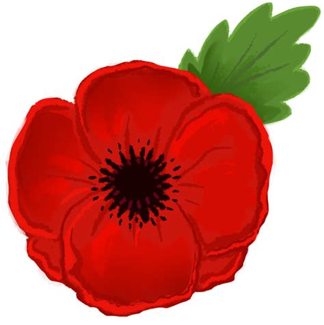 Poppy clipart ww1, Poppy ww1 Transparent FREE for download on ...