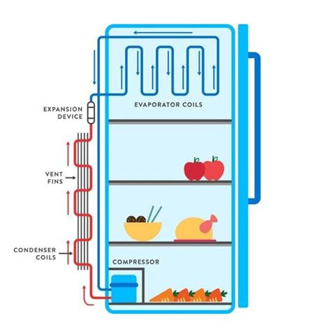 Working Principle Of Refrigerator - How Does It Work?