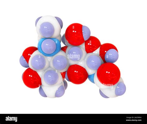 Chitin. Molecular model of chitin, a long-chain polysaccharide polymer with the repeat unit ...