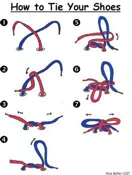 Shoe Tying Diagram by Miss Barker's Teaching Resources | TPT