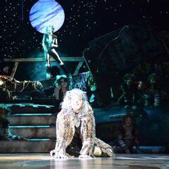 Memory | 'Cats' Musical Wiki | Fandom