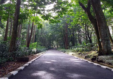 120 Tempat Wisata di Bandung Paling Menarik dan Wajib Dikunjungi ...