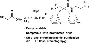 Efficient and scalable synthesis of α,α-disubstituted β-amino amides ...