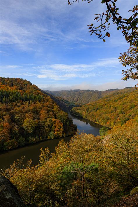 Autumn forests flanking the river - Saarland,... - nature-hiking