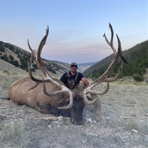 Elk Hunting in Utah: Gage Outdoor Expeditions