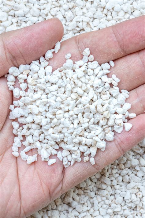 How To Use Perlite To Create Better Soil & Grow Healthier Plants!