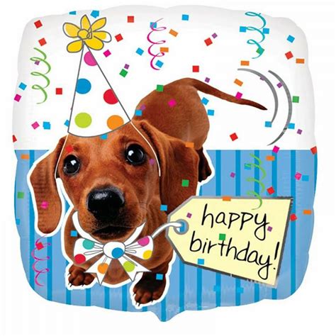 Pin by Lynn Huber on Birthday cards | Happy birthday dog, Happy birthday puppy, Dog birthday wishes