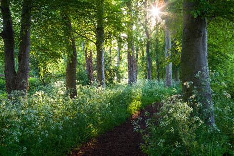 Walking Escapes - Visit North Lincolnshire