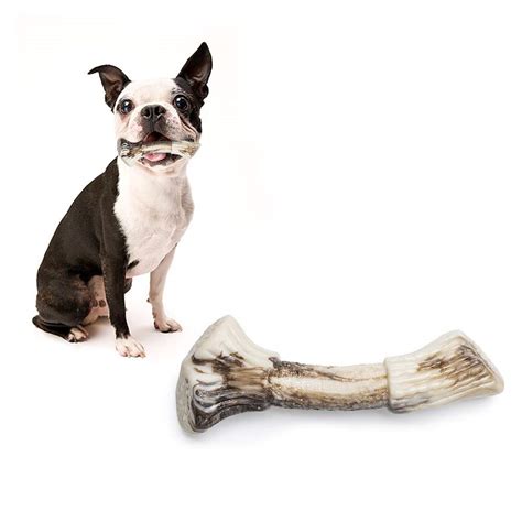 Are Nylon Bones Safe For Dogs To Eat