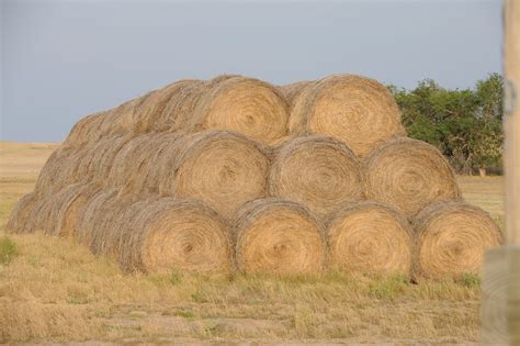 Hay stack | Western theme, Cattle ranching, Hay bales