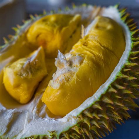 Durian Fruit - Southeast Asia's King of the Fruits