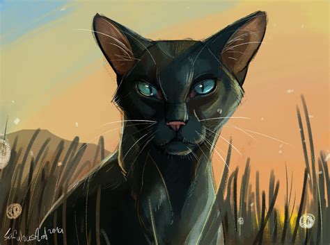 Crowfeather by SafulousArt on DeviantArt