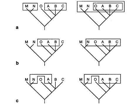 1-Examples of monophyletic (a). paraphyletic (b), and polyphyletic ( c ...