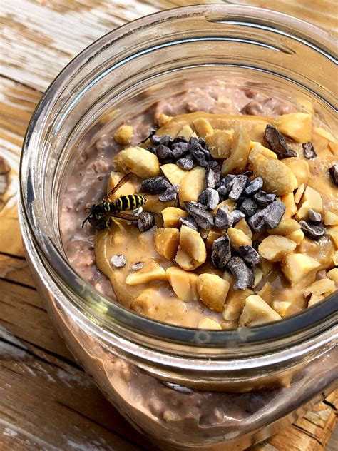 High-Protein Chocolate Peanut Butter Overnight Oats Recipe | POPSUGAR ...