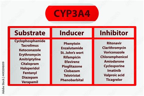 CYP3A4 Cytochrome p450 enzyme pharmaceutical substrates, inhibitors and inducers examples, for ...