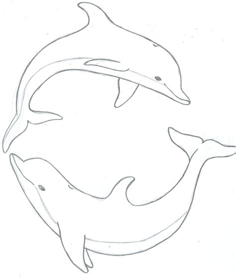 Free Dolphin Drawings, Download Free Dolphin Drawings png images, Free ...