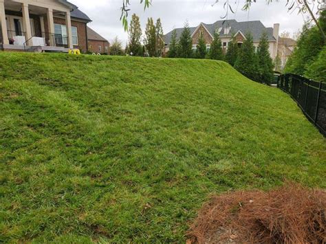 Fescue Sod - Sod Source TN LLC