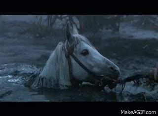 fight against the sadness artax... stupid horse on Make a GIF