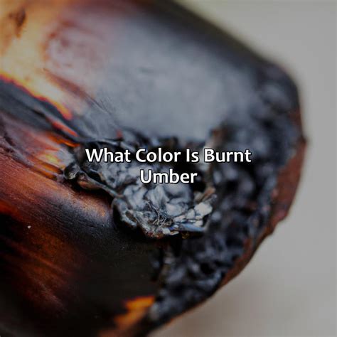 What Color Is Burnt Umber - colorscombo.com