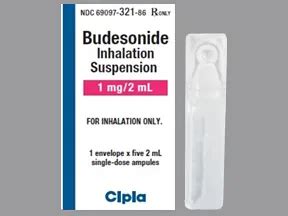 Budesonide Inhalation: Uses, Side Effects, Interactions, Pictures, Warnings & Dosing - WebMD