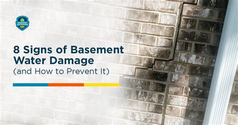 Basement Water Damage Signs & Prevention | Basement Defender