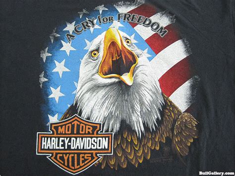 Download 7 Harley Davidson Eagle Logos - Bull Gallery