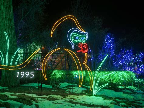 Little Hiccups: Denver Zoo Lights