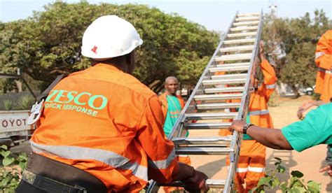 ZESCO IN JOB FREEZE, ONLY RECRUITING CRITICAL STAFF – Daily Nation