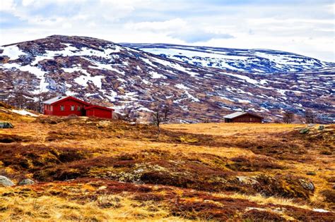 Premium Photo | Traditional farmhouse at the foot of the mountain, norway