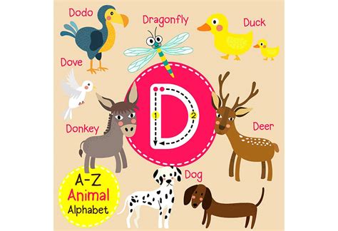 Teach Kids: Names of Animals That Start With Letter "D"