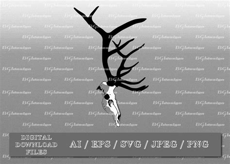 Elk Skull 1 vector eps / ai / svg / png Elk silhouette | Etsy