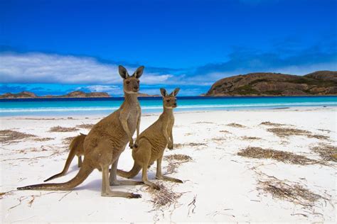 15 Best Things to Do in Esperance (Australia) - The Crazy Tourist