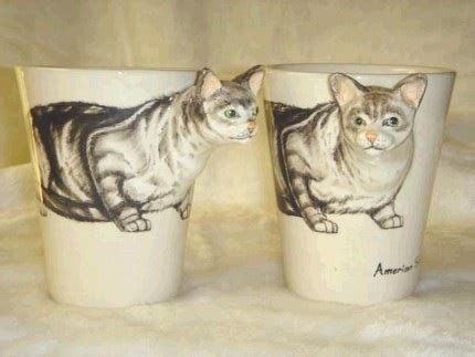 I SHOUT ALOUD: Creative Animal Coffee Mugs