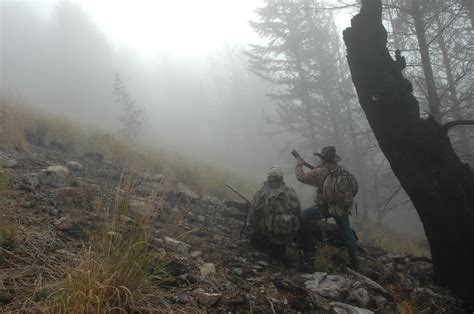 How to Hunt Elk — Abridged - The Armory Life