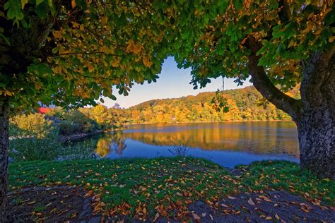 Download Fall Tree Nature Lake 4k Ultra HD Wallpaper