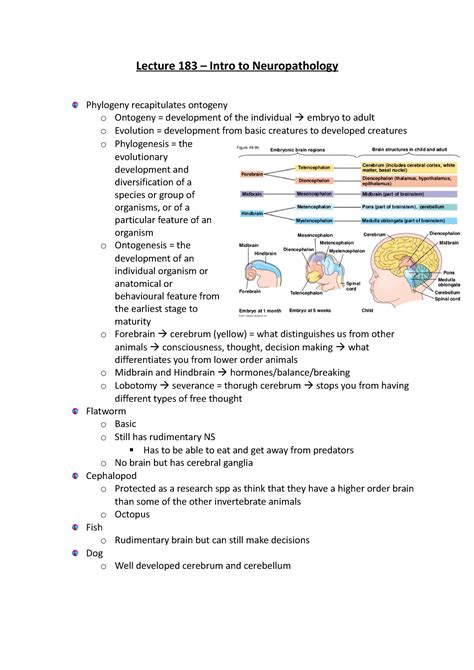 Lecture 183 – Intro to Neuropathology. - Lecture 183 – Intro to ...