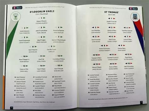 O'Loughlin Gaels 0-17 St. Thomas' 0-18 in All-Ireland club hurling final result and recap as St ...