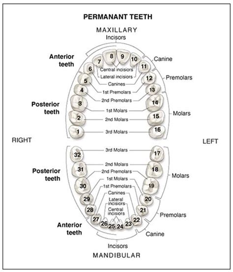 Dental EMR Accelerator - Choice EMR Learning Inc.