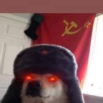 Russian Doge Meme Generator - Imgflip